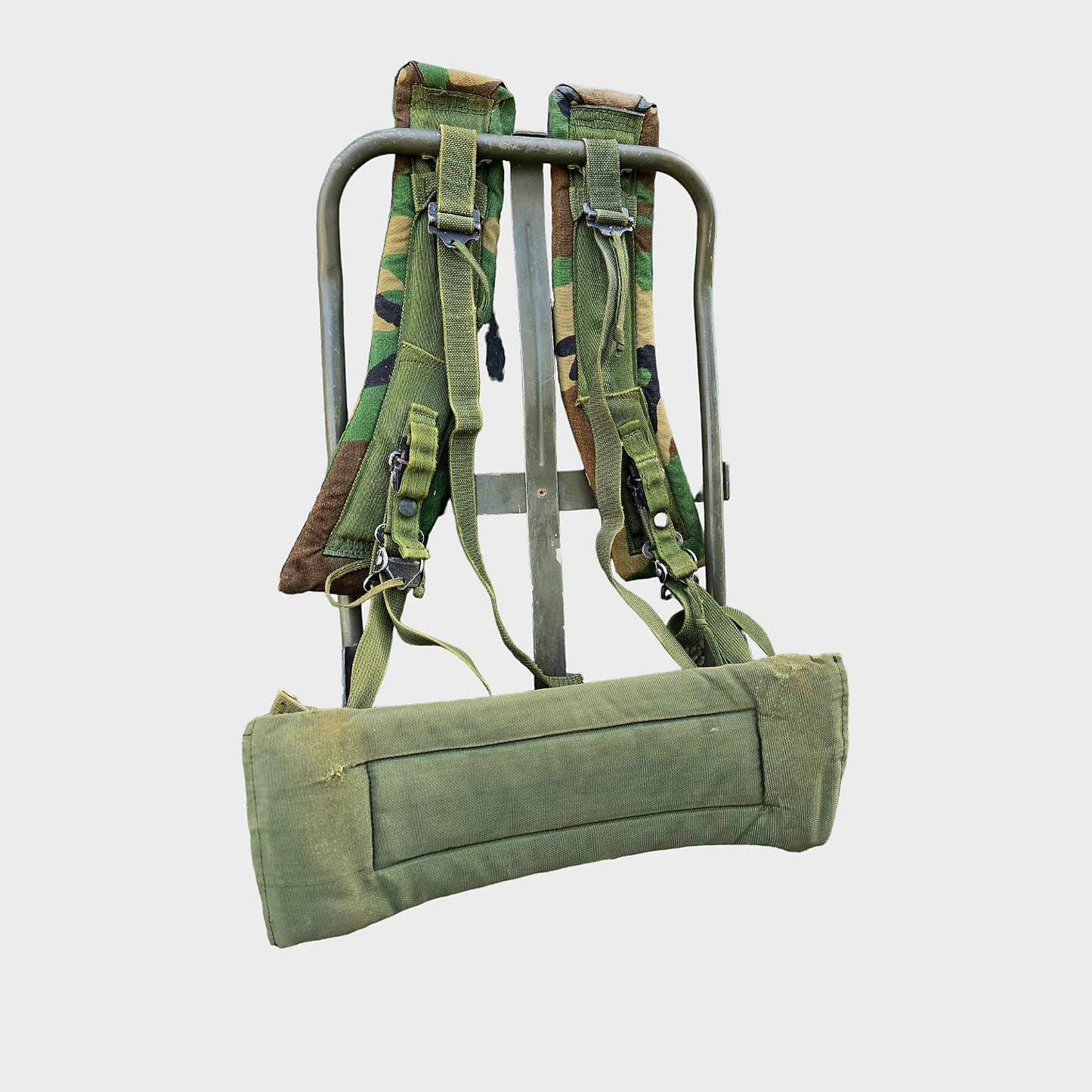 ALICE Pack Frame