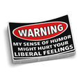Liberal Feelings Decal