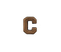 US Army Letter C 1/4in Bronze Ribbon Device