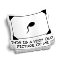 Old Picture Hard Hat Decal