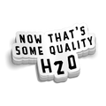 H20 - Hard Hat Decal