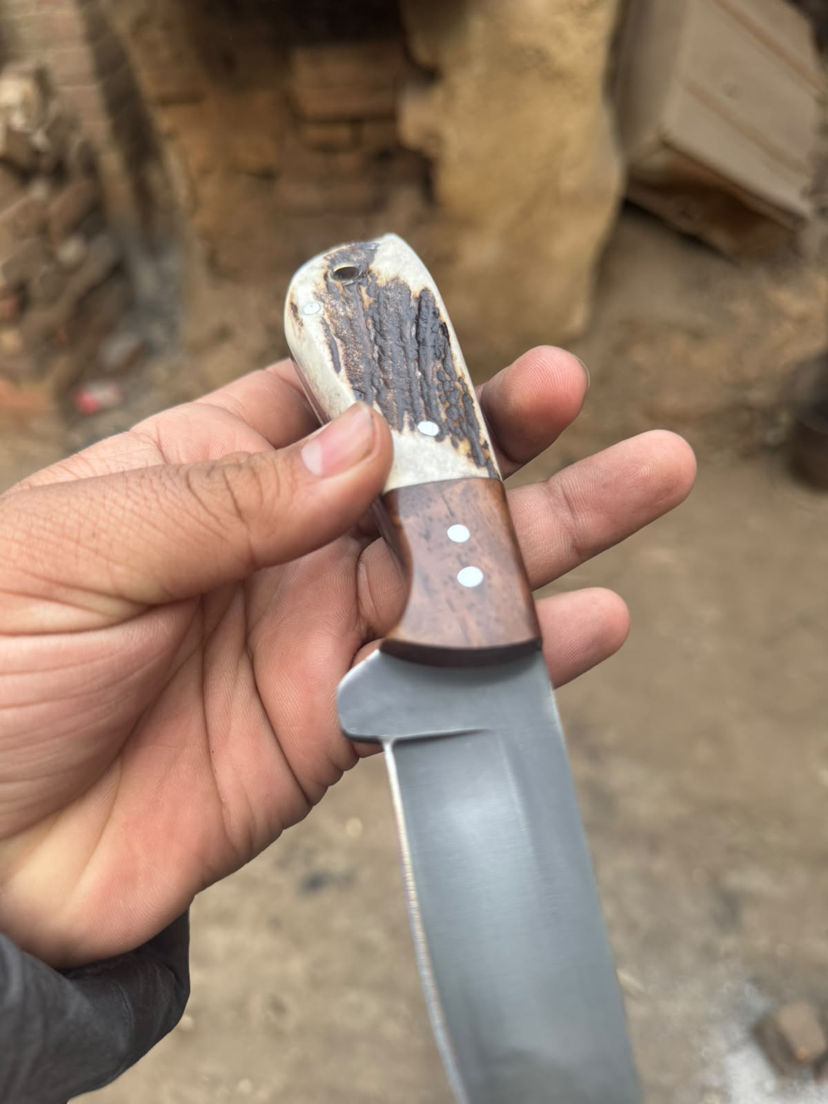 Anvilwood Hunter's Blade 9" Handmade High Carbon Stag Horn Handle