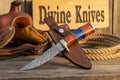 Multi Color Wood Damascus Knife with Brass Bolster Detailing