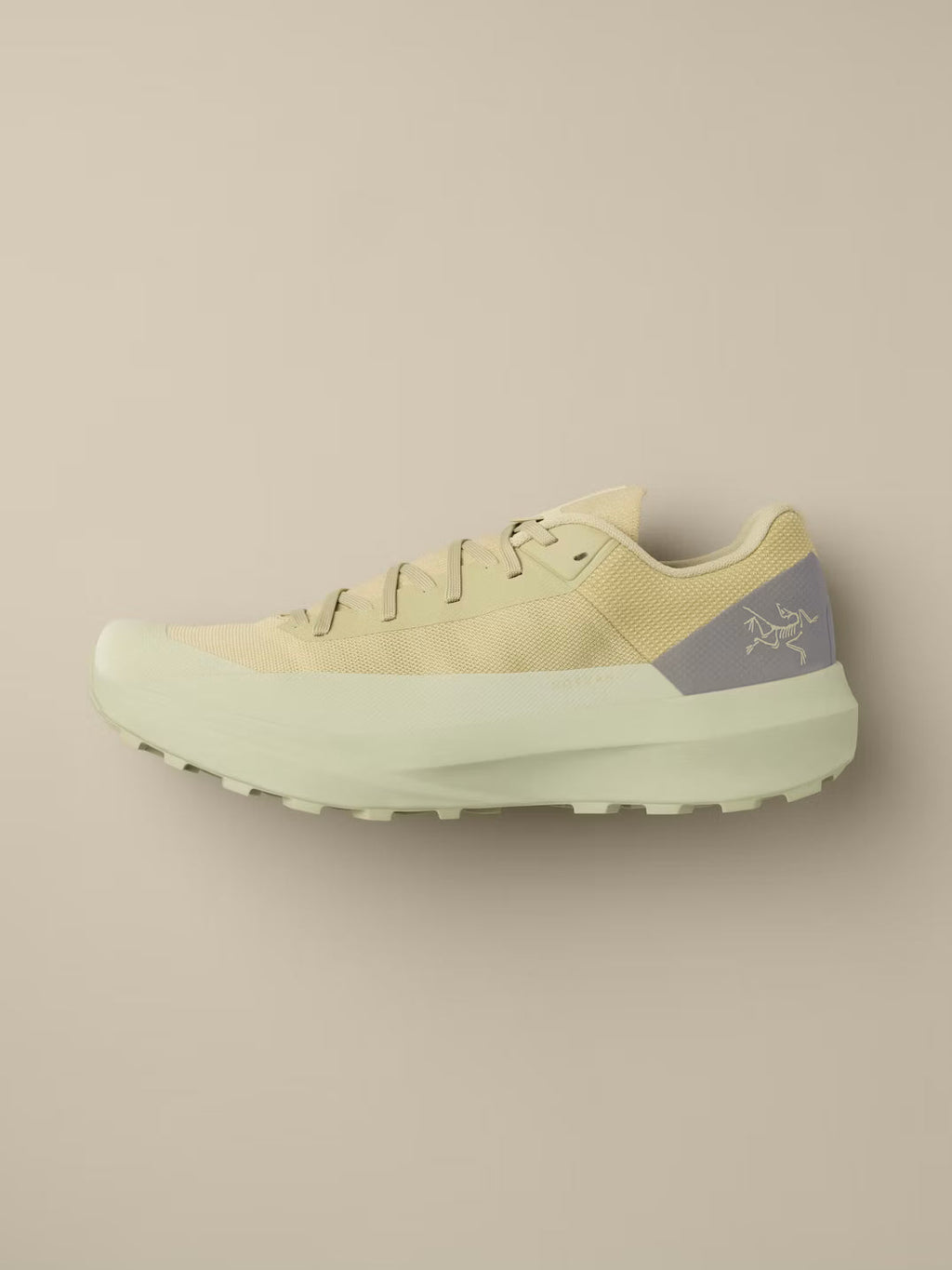 Arc'teryx Norvan LD 4 Shoe