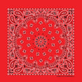 Red Paisley Print Bandana