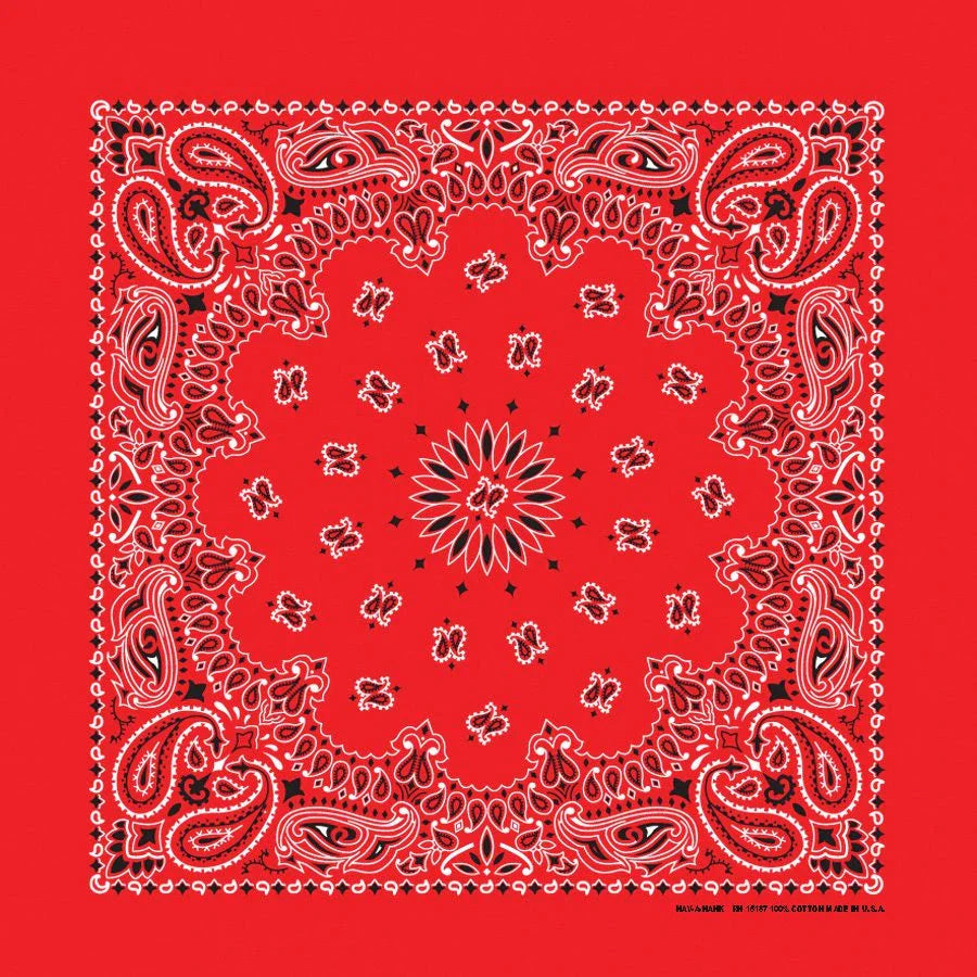 Red Paisley Print Bandana