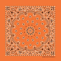 Orange Paisley Print Bandana