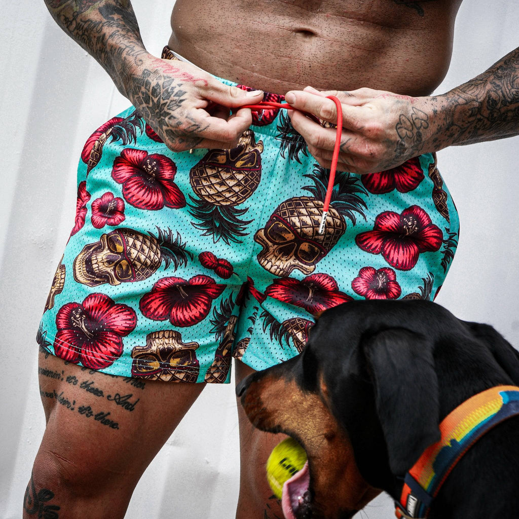 Men's Original Mesh Lifestyle Shorts | 5"