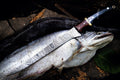Custom Handmade 13-Inch Damascus Steel Fillet Knife with Buffalo Horn Handle