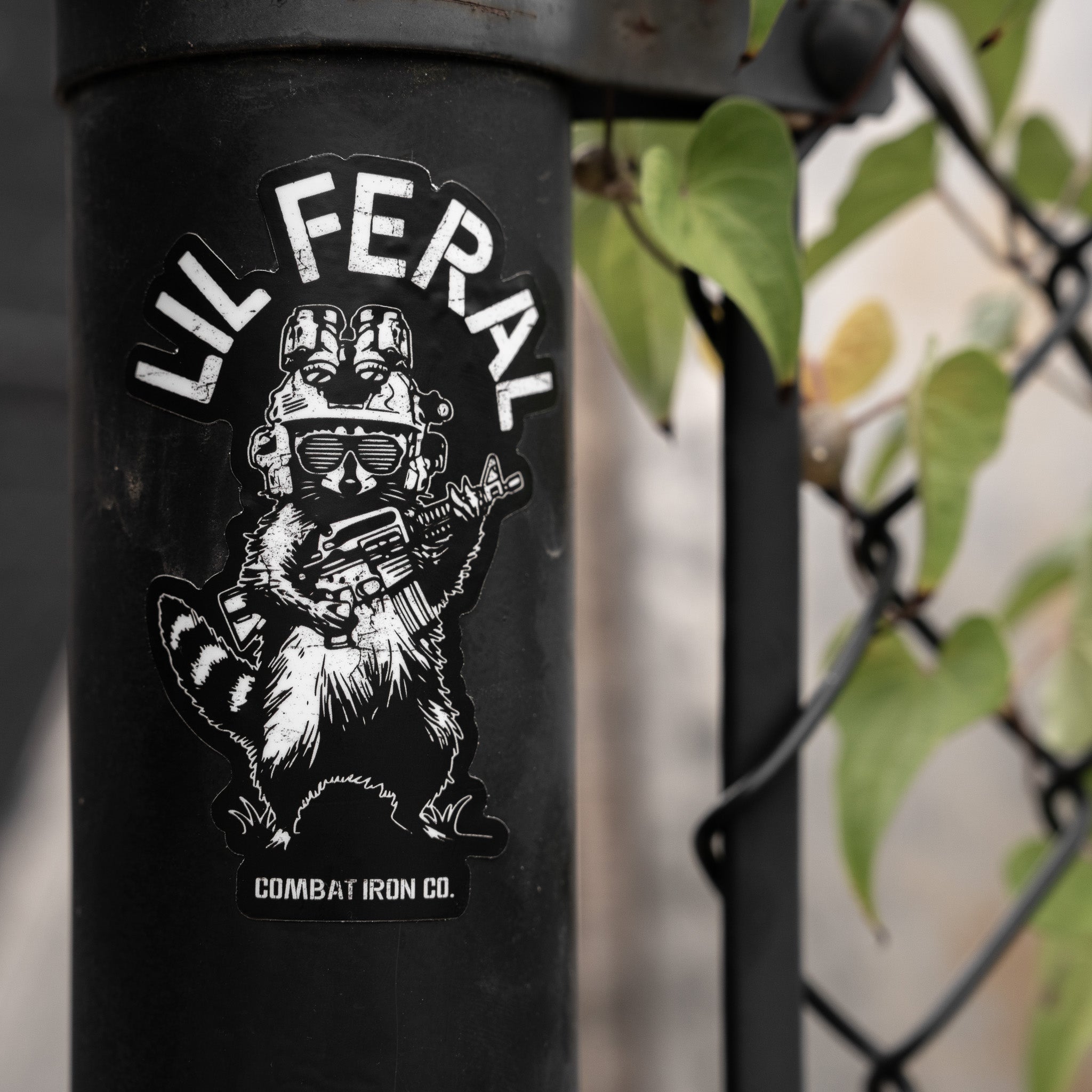 Lil Feral Racoon Decal