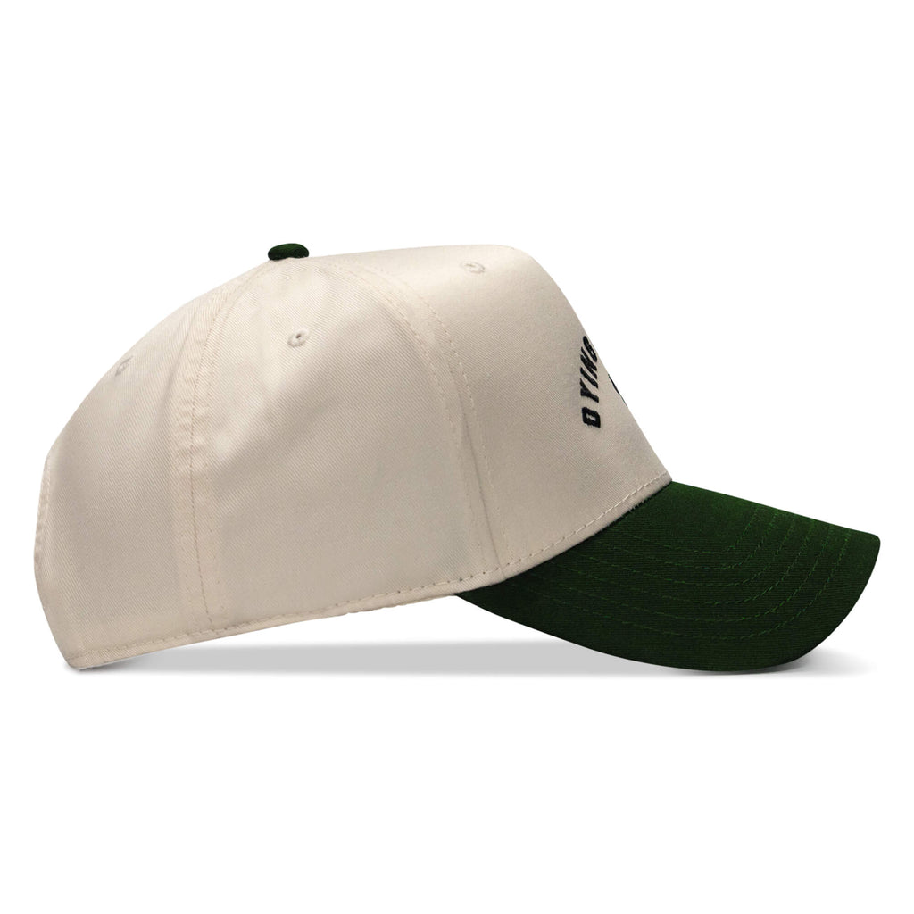 Dying Is Easy Classic Snapback Hat