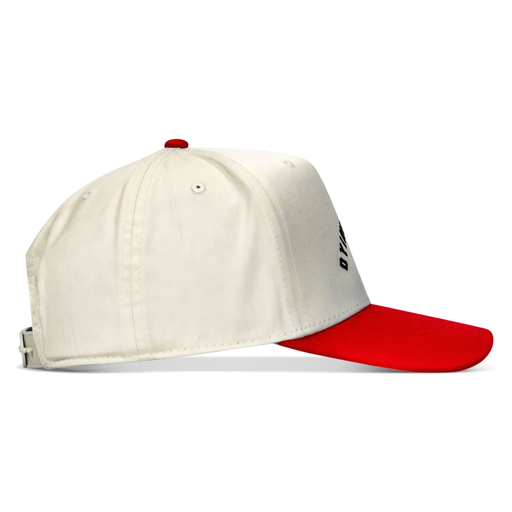 Dying Is Easy Classic Snapback Hat
