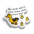 Ducks Hard Hat Decal