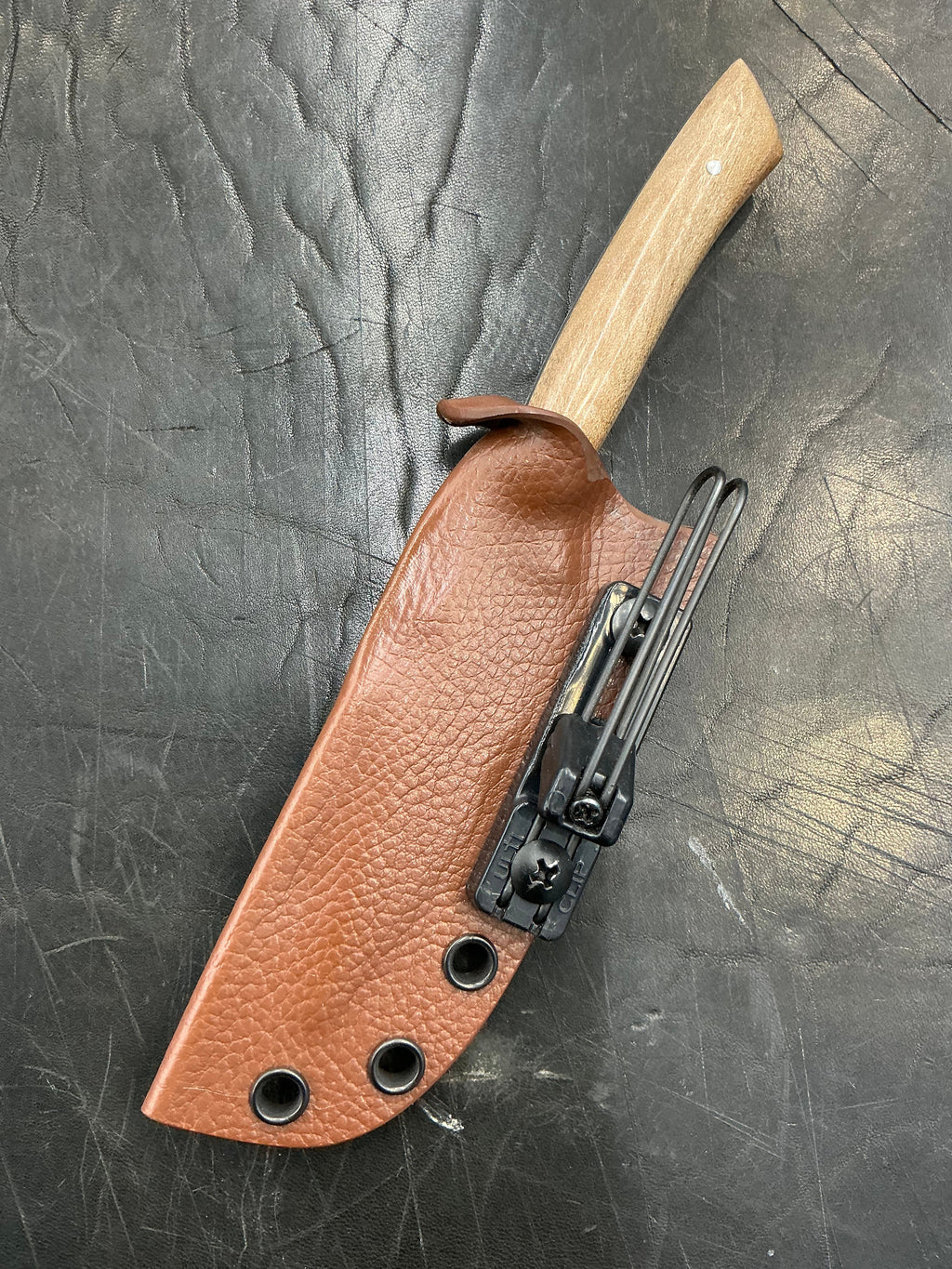 Harpinger M