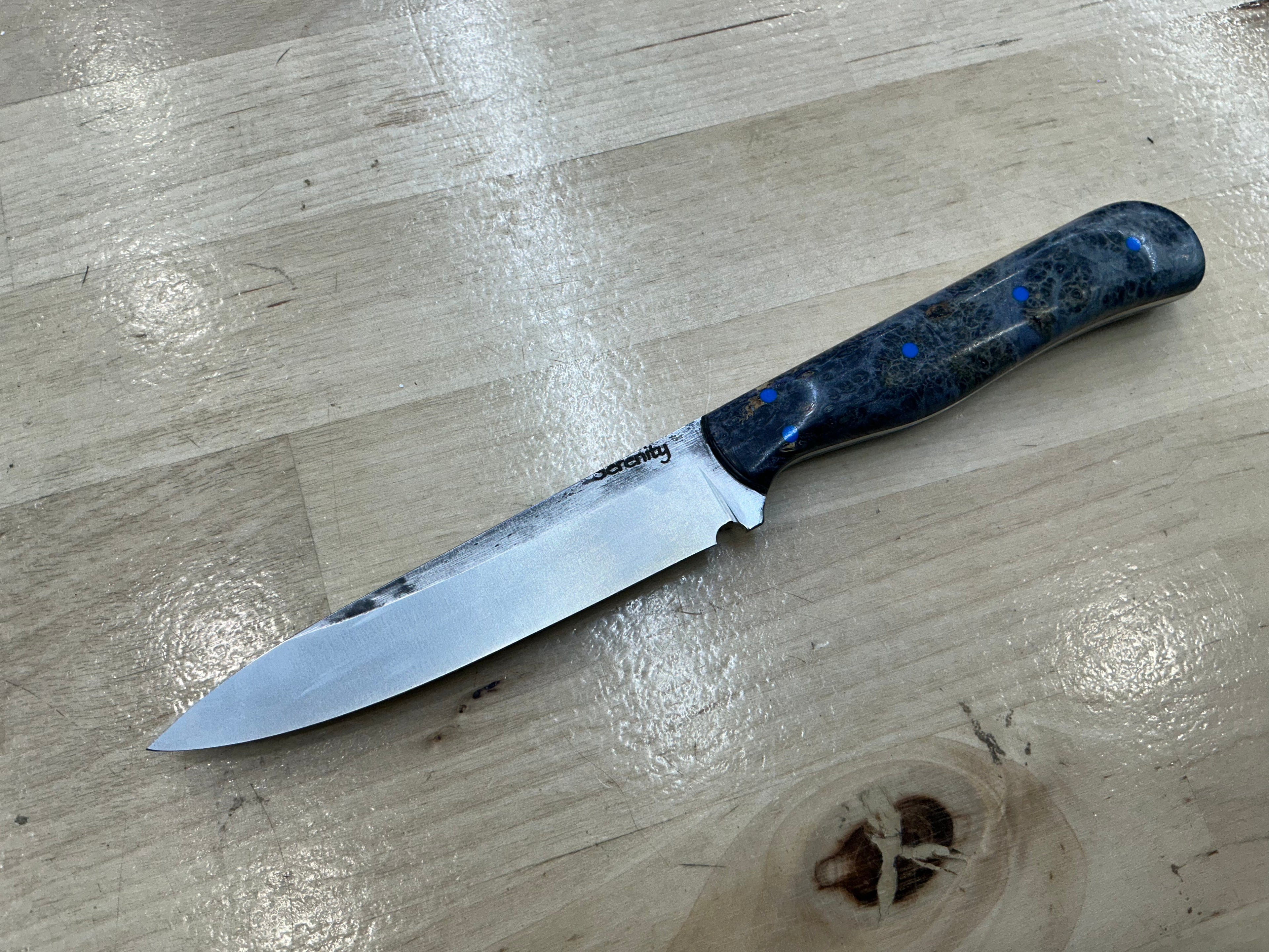 OG Lady’s Paring Knife - CPM154 - Blue Redwood Burl Wood Handle