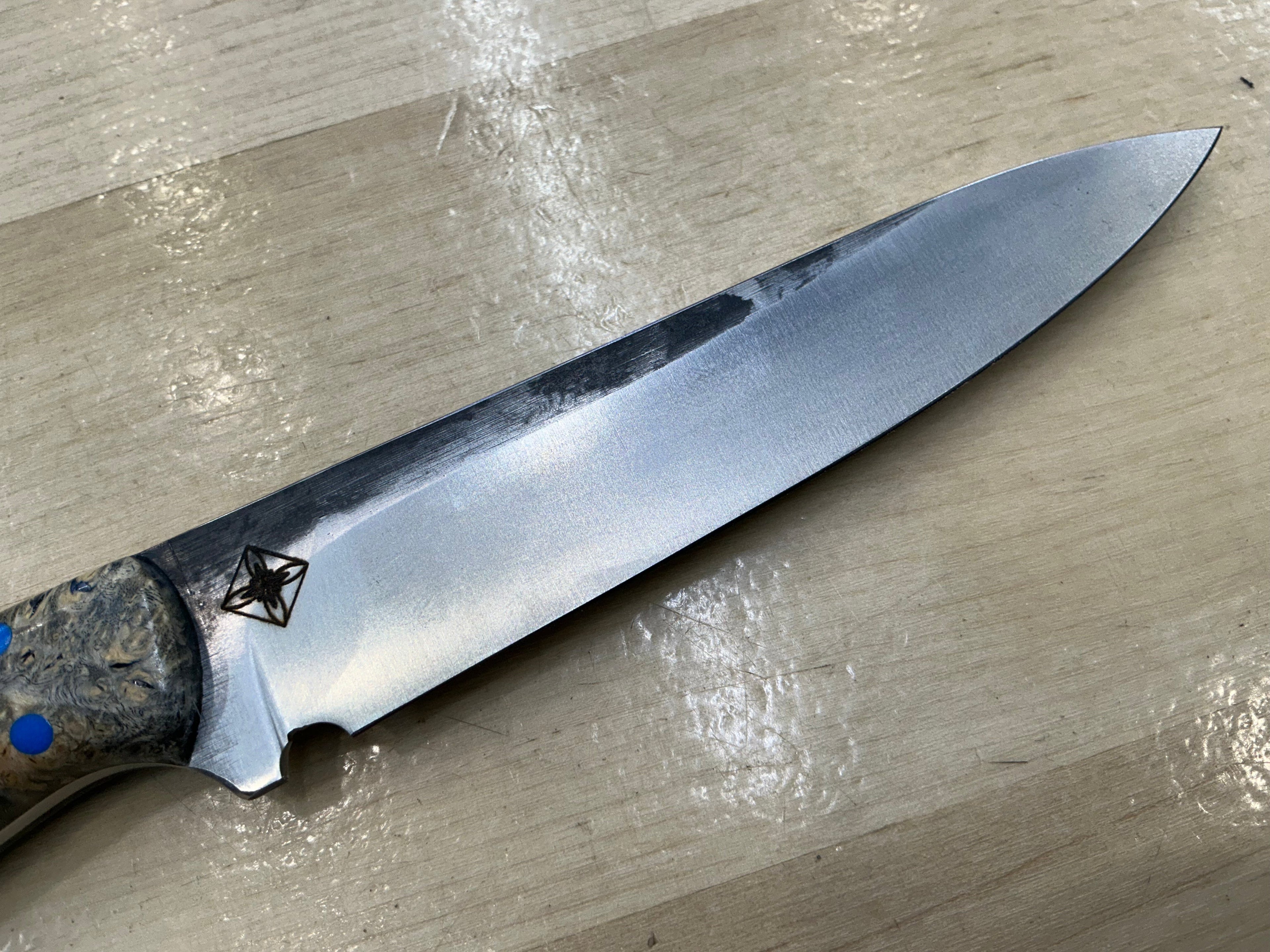 OG Lady’s Paring Knife - CPM154 - Blue Redwood Burl Wood Handle