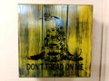 Gadsden wall art box.