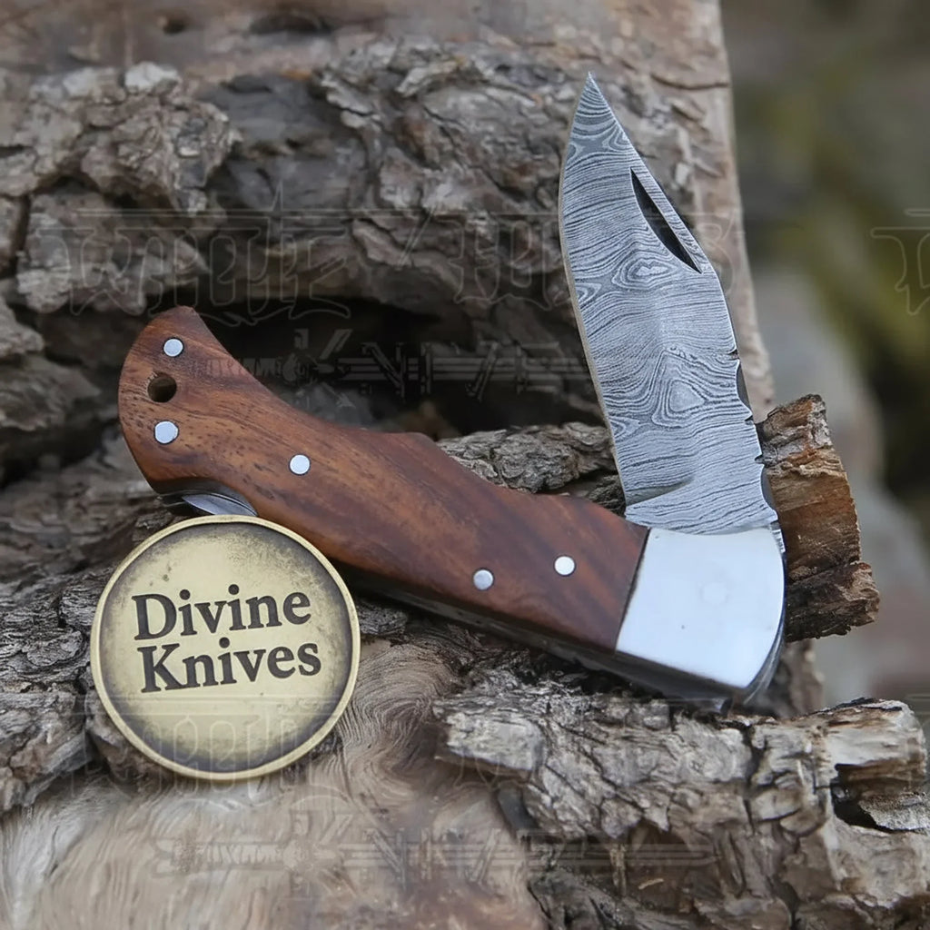 Rosewood Handle Damascus Clip Point Knife for Precision Everyday Cutting