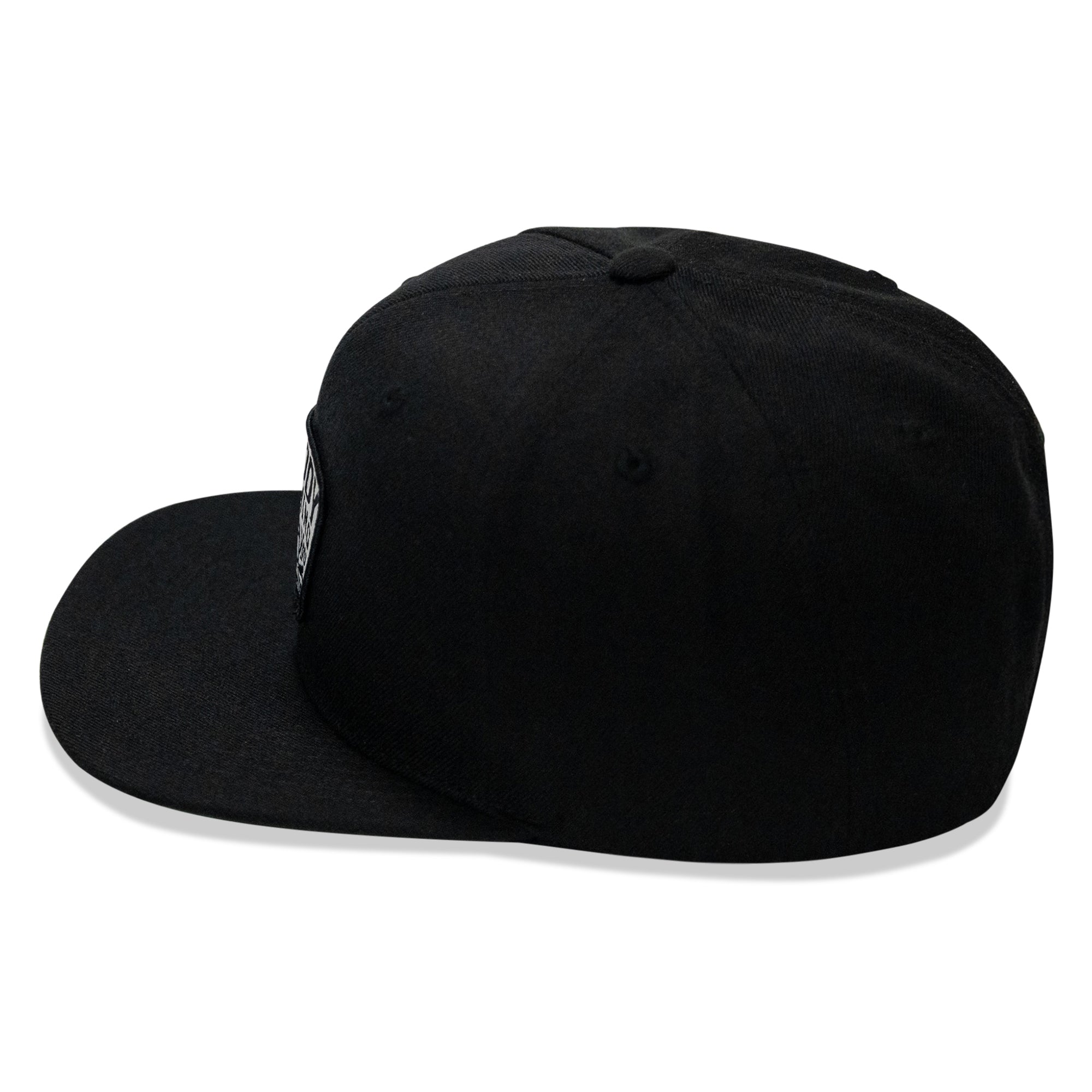 Nobody Is Coming To Save You Patch Flatbill Snapback Hat