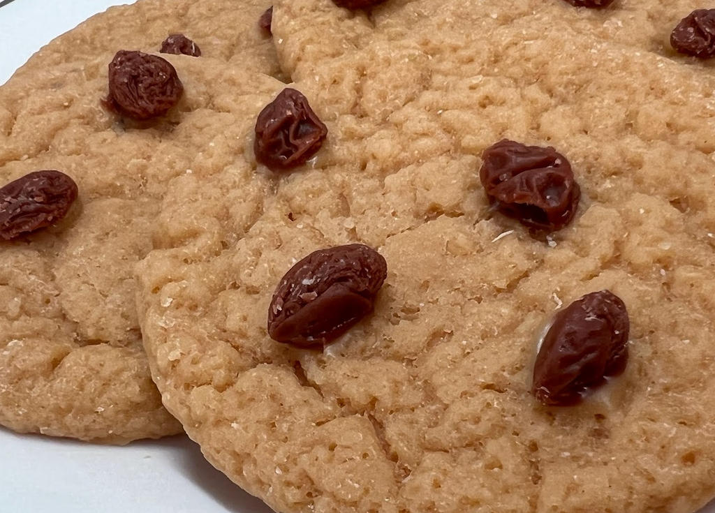 OATMEAL RAISIN COOKIES Wax Melts | Wax Embeds for Candles | Fake Food