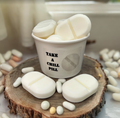 TAKE A CHILL PILL wax melts | Sinus Relief Scent 6.25 oz