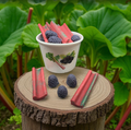 RHUBARB & BERRY CASHMERE wax melts | 5 oz