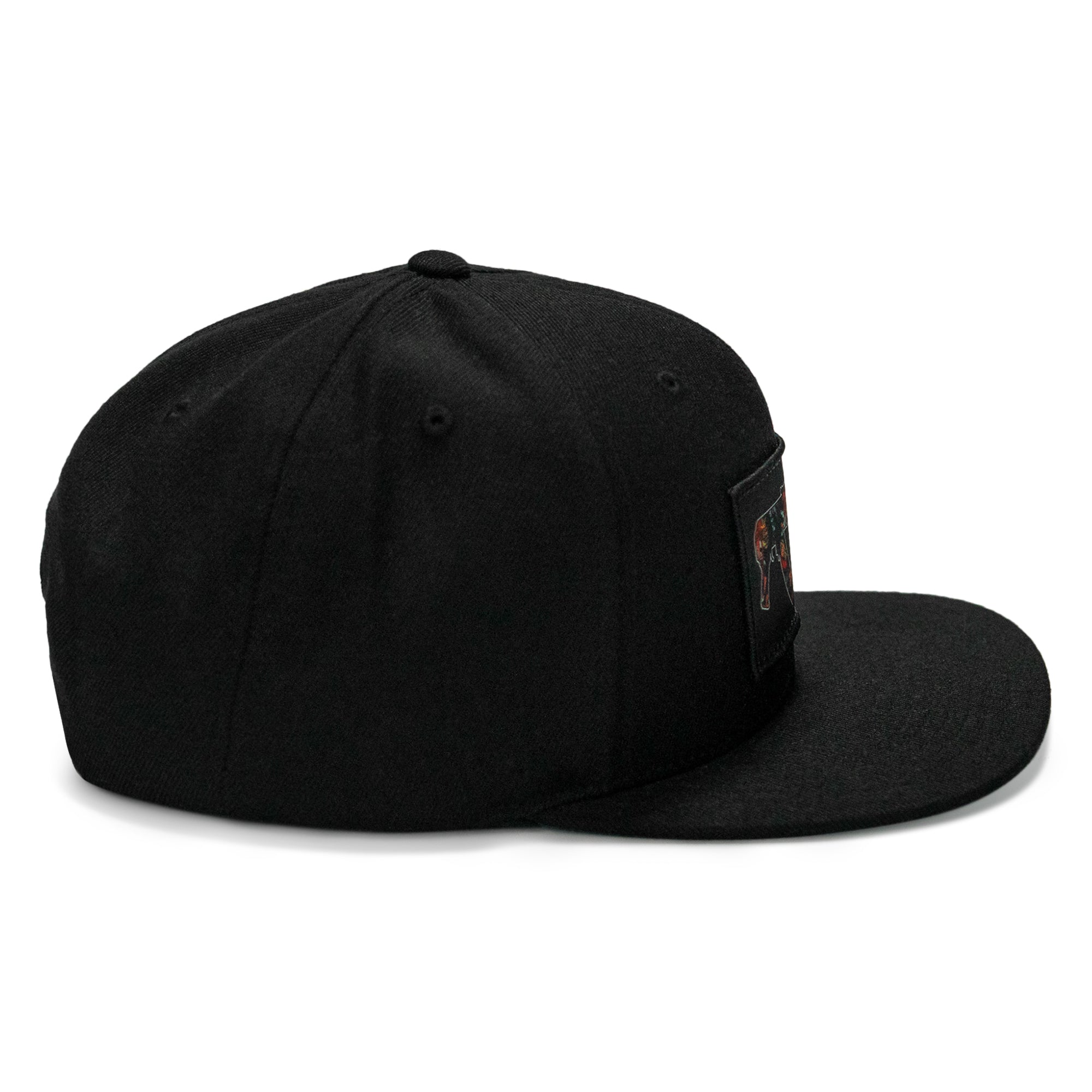 Tropical AK Patch SnapBack Hat