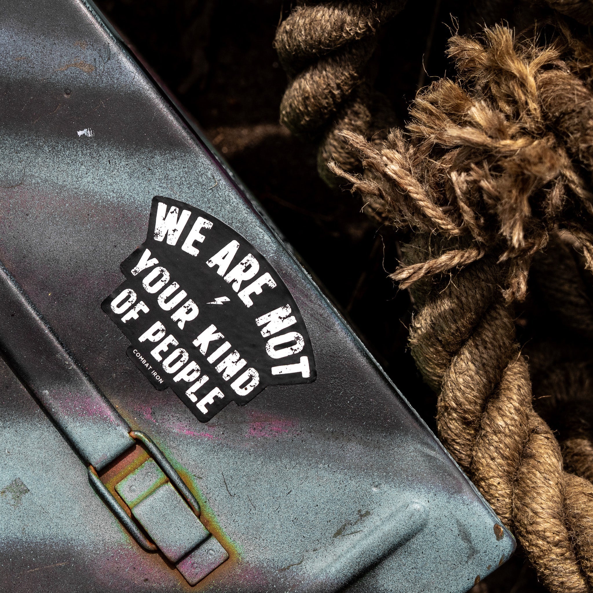 We Are Not Your Kind Of People Decal