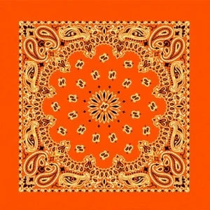 Neon Orange Paisley Bandana