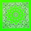 Neon Green Paisley Bandana