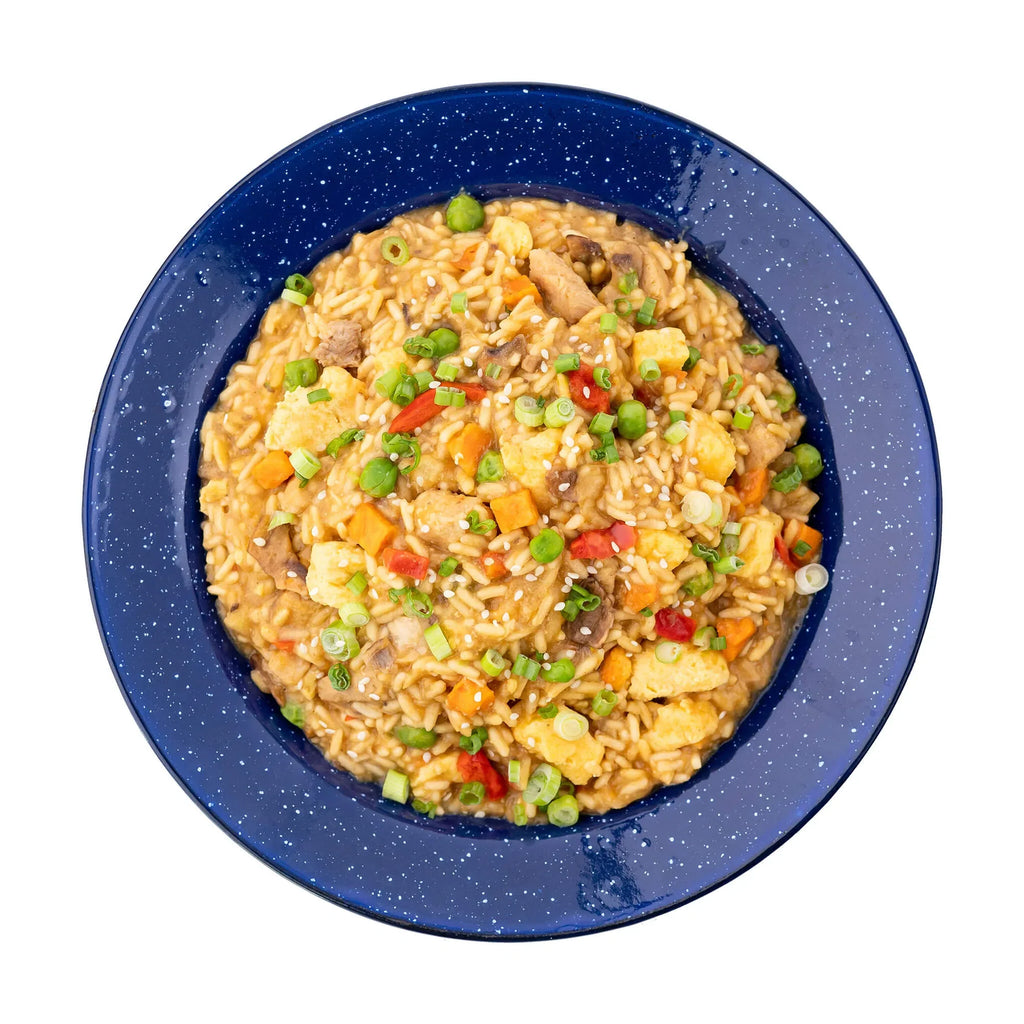 Chicken Fried Rice MRE Pouch | Mountain House