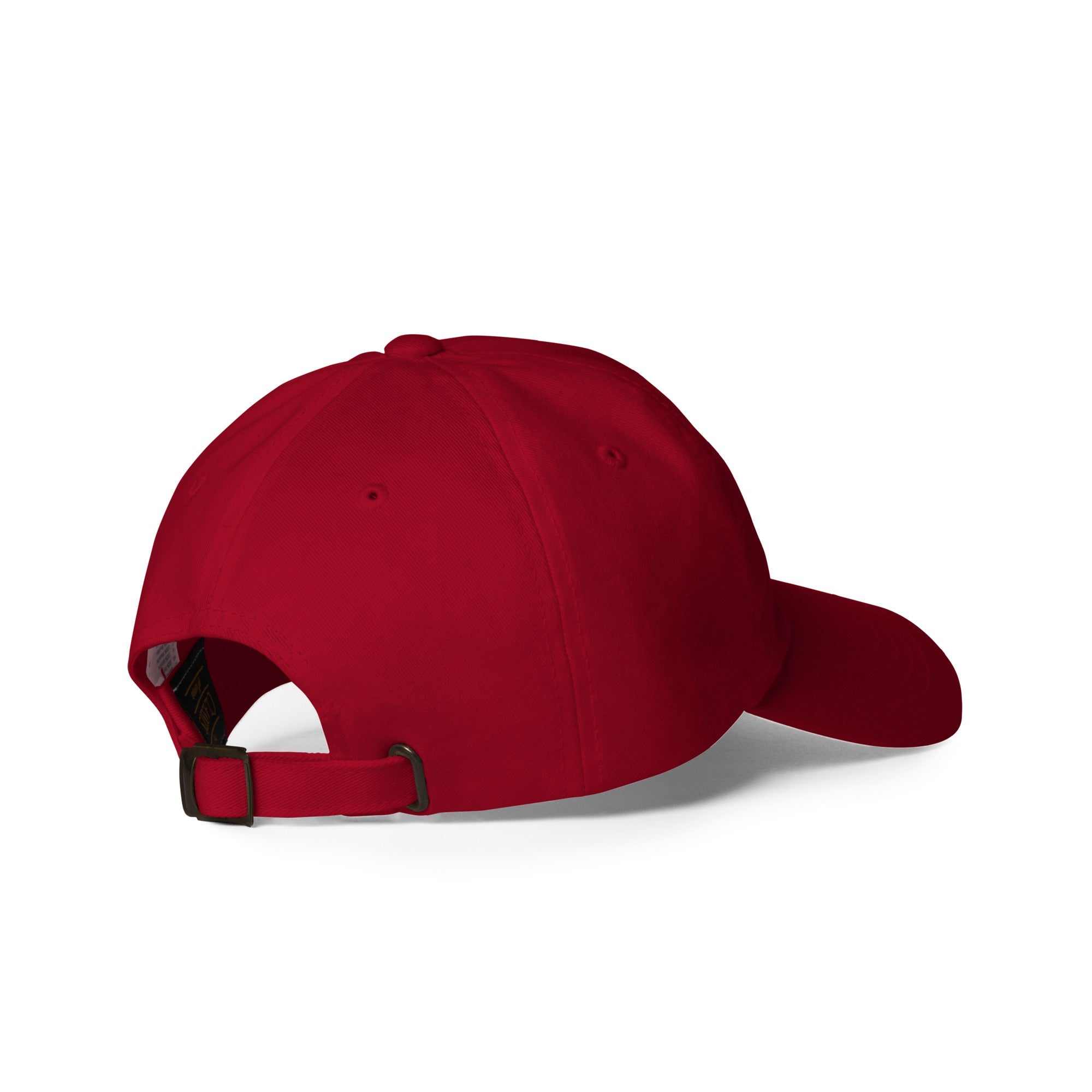 Too Big To Rig Hat