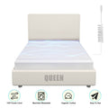 Organic Cotton Grounding Sheet – Queen & King with 15FT Cord for Sleep & Wellness