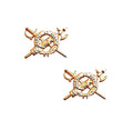 U.S. Army Inspector General Officer Branch STA-BRITE® Pin-on (pair)
