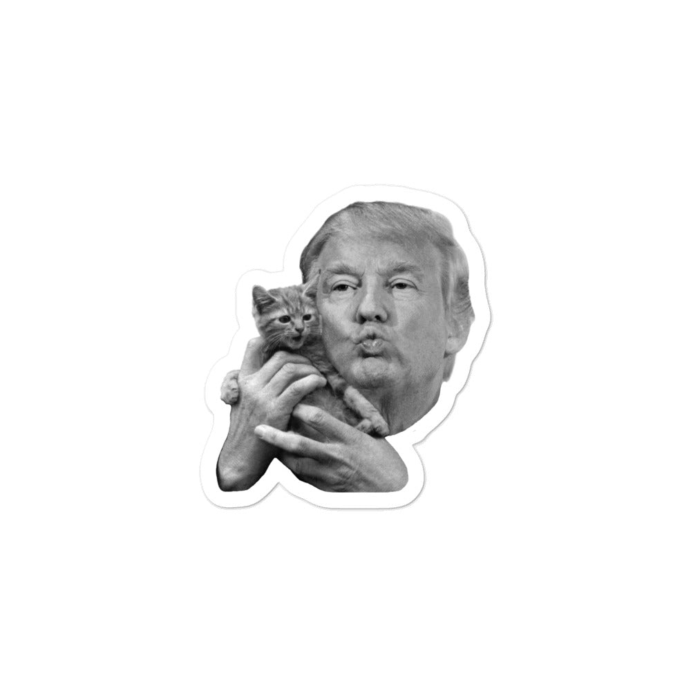 Trump and  Pussy Sticker