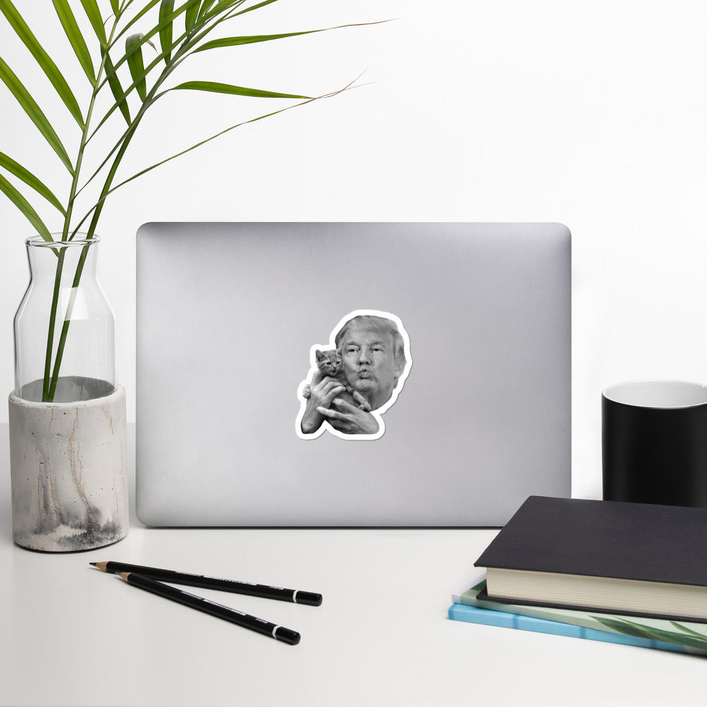 Trump and  Pussy Sticker