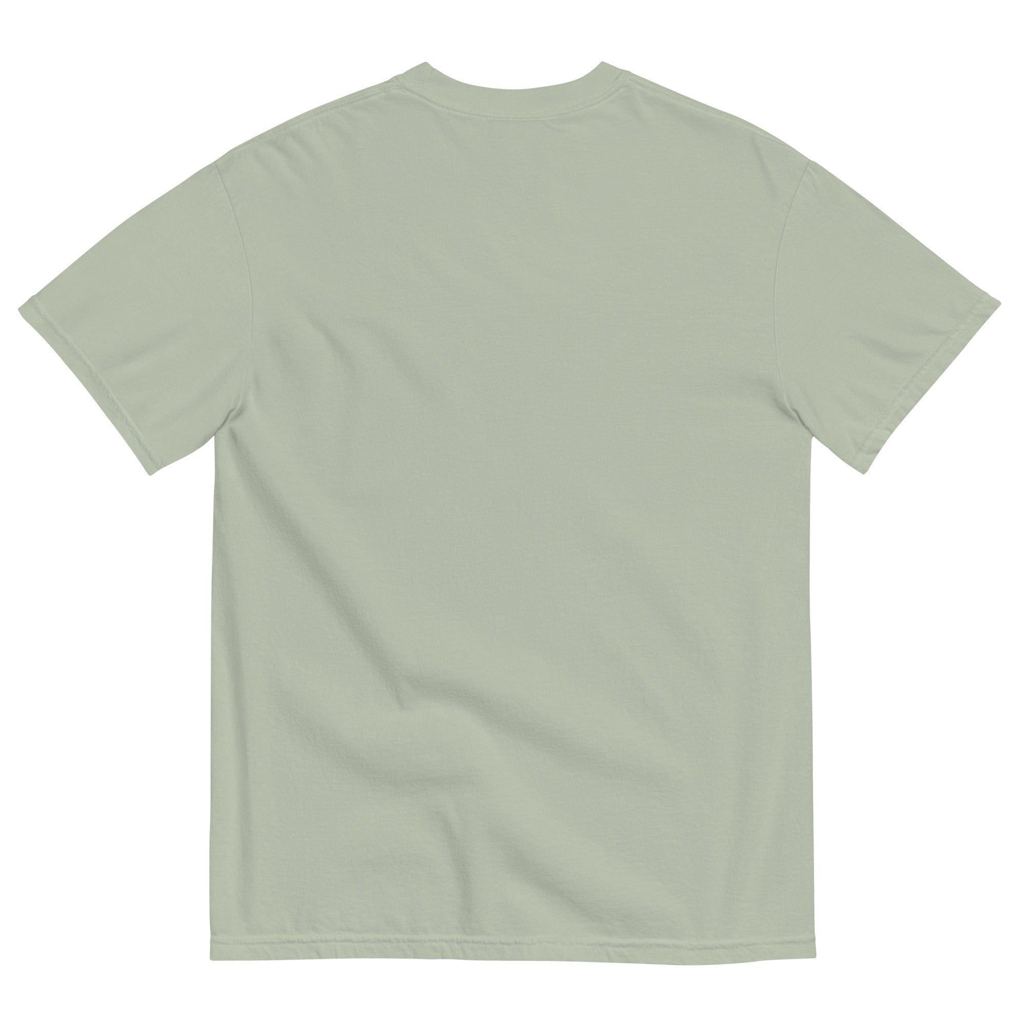 Discipline Bestows Liberty Heavyweight Graphic T-Shirt