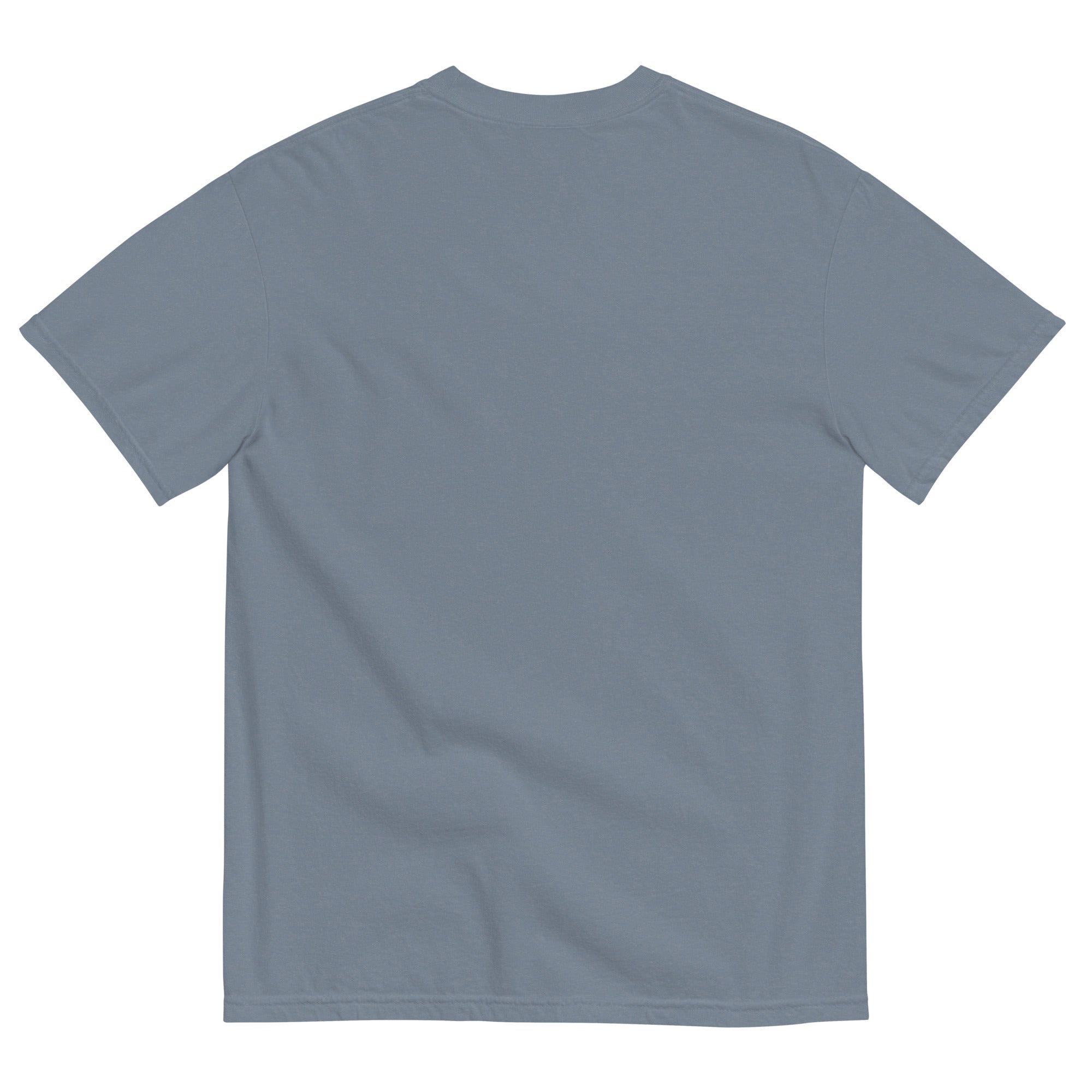 Discipline Bestows Liberty Heavyweight Graphic T-Shirt