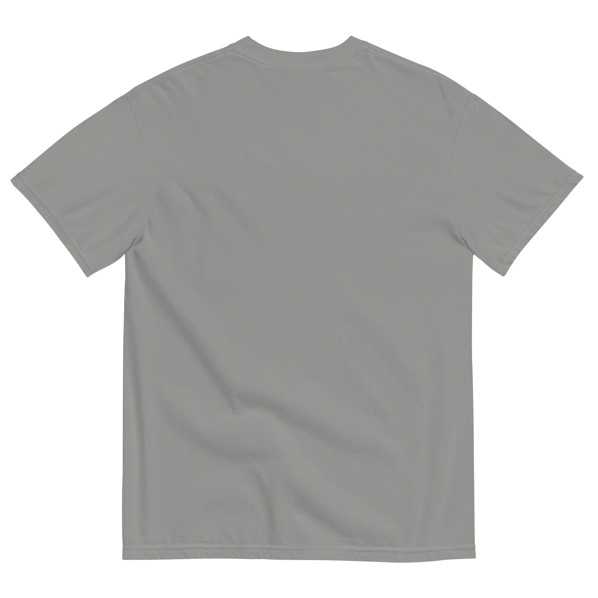 Discipline Bestows Liberty Heavyweight Graphic T-Shirt