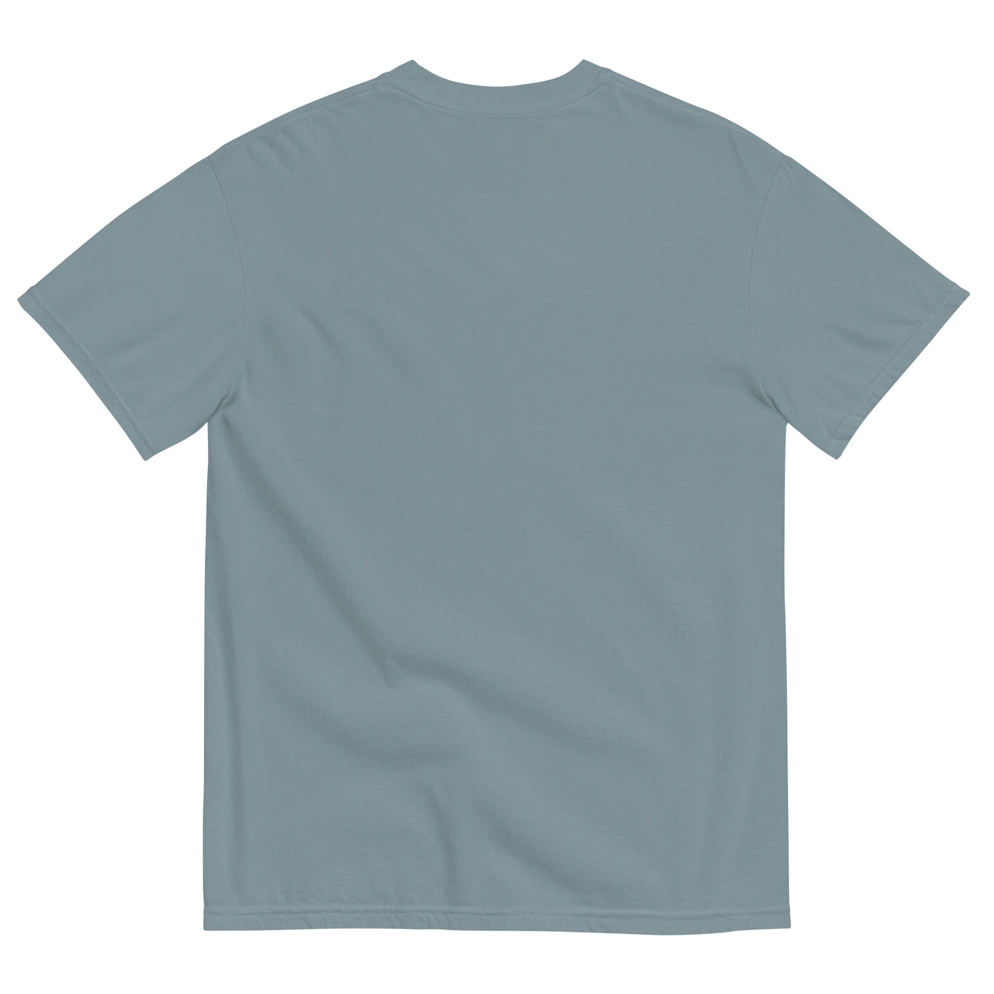 Discipline Bestows Liberty Heavyweight Graphic T-Shirt
