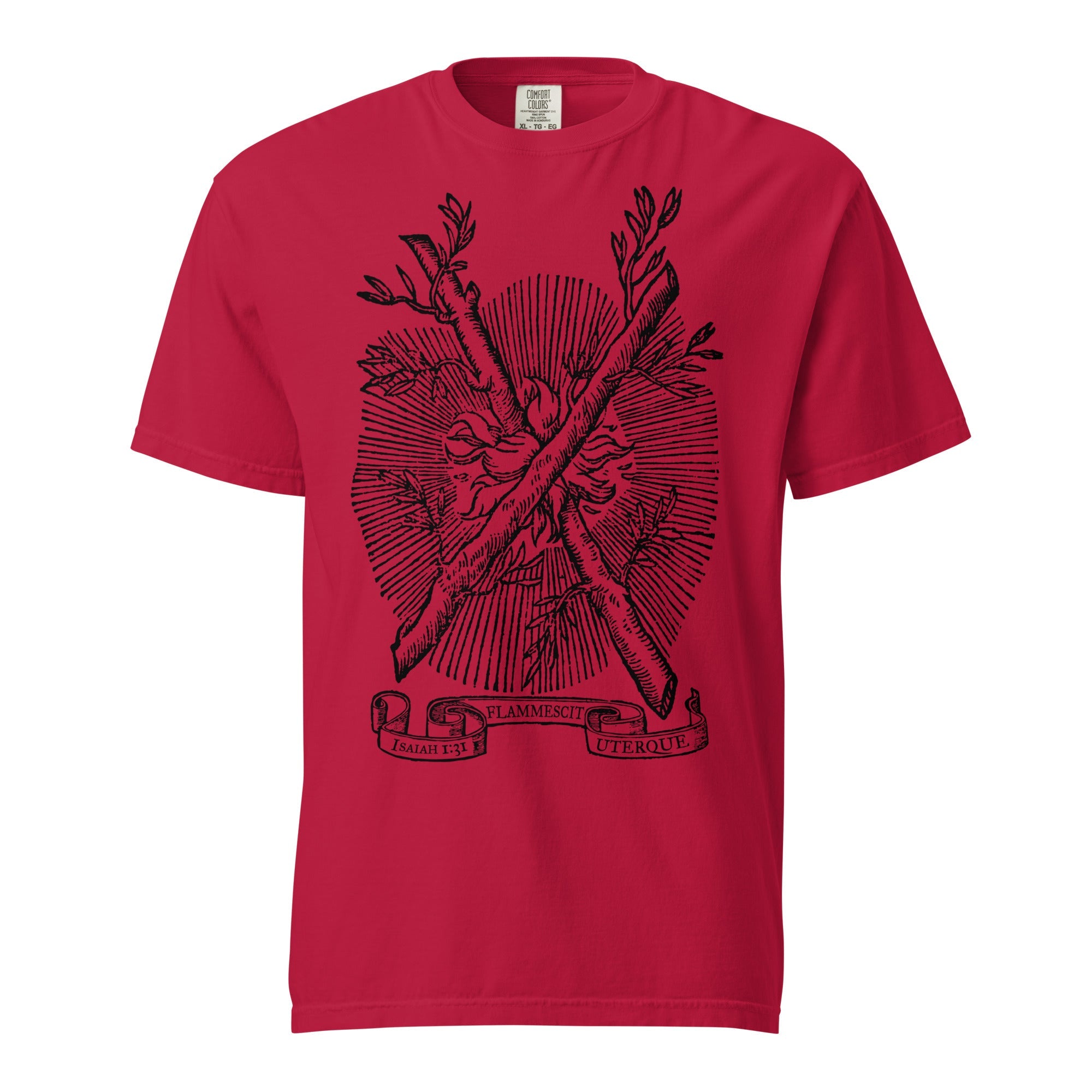Both of Them Do Burn Heavyweight Graphic T-Shirt