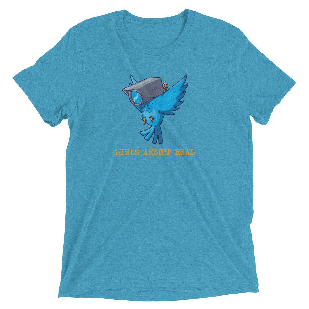 Birds Aren't Real Tri-Blend T-Shirt