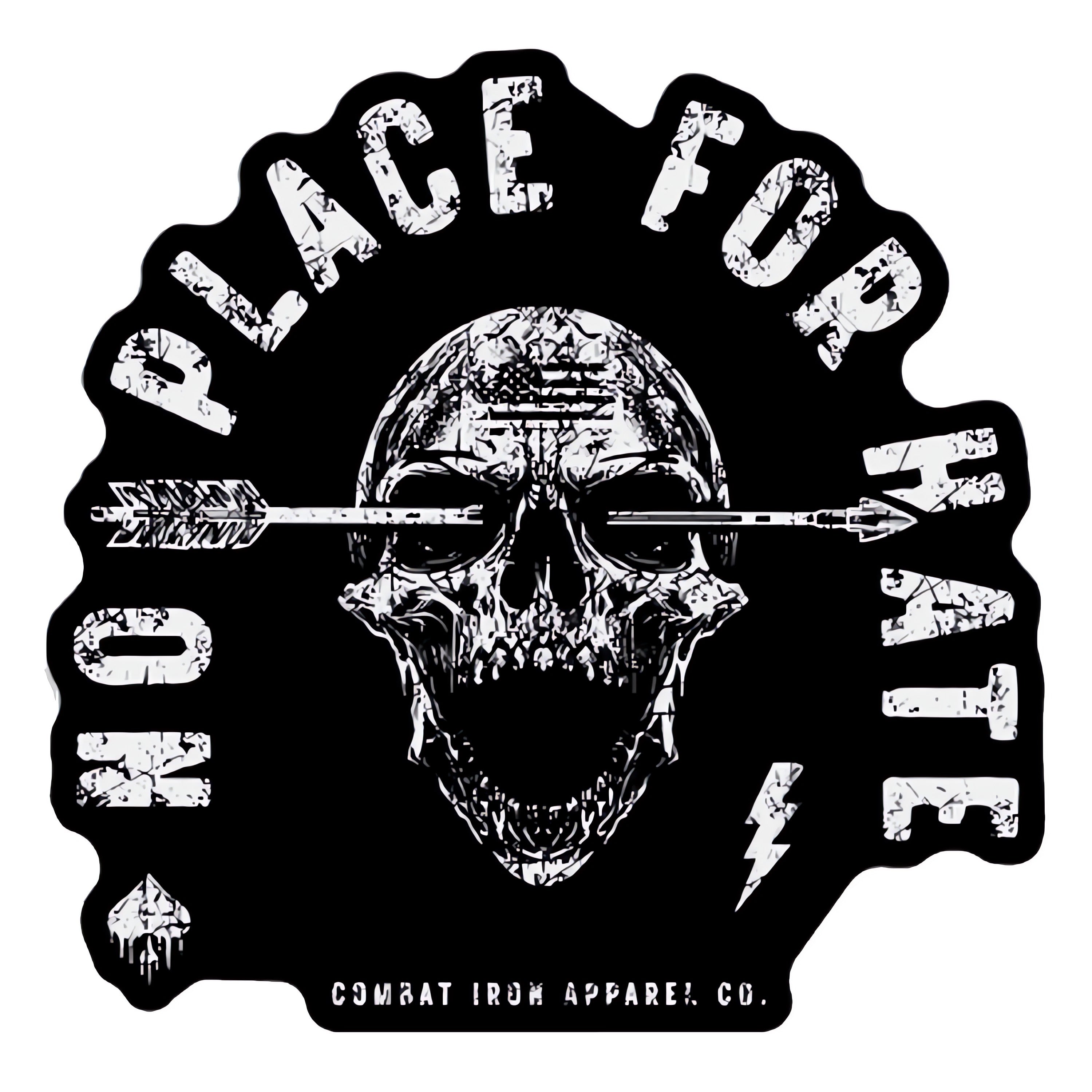 No Place For Hate Skull Decal
