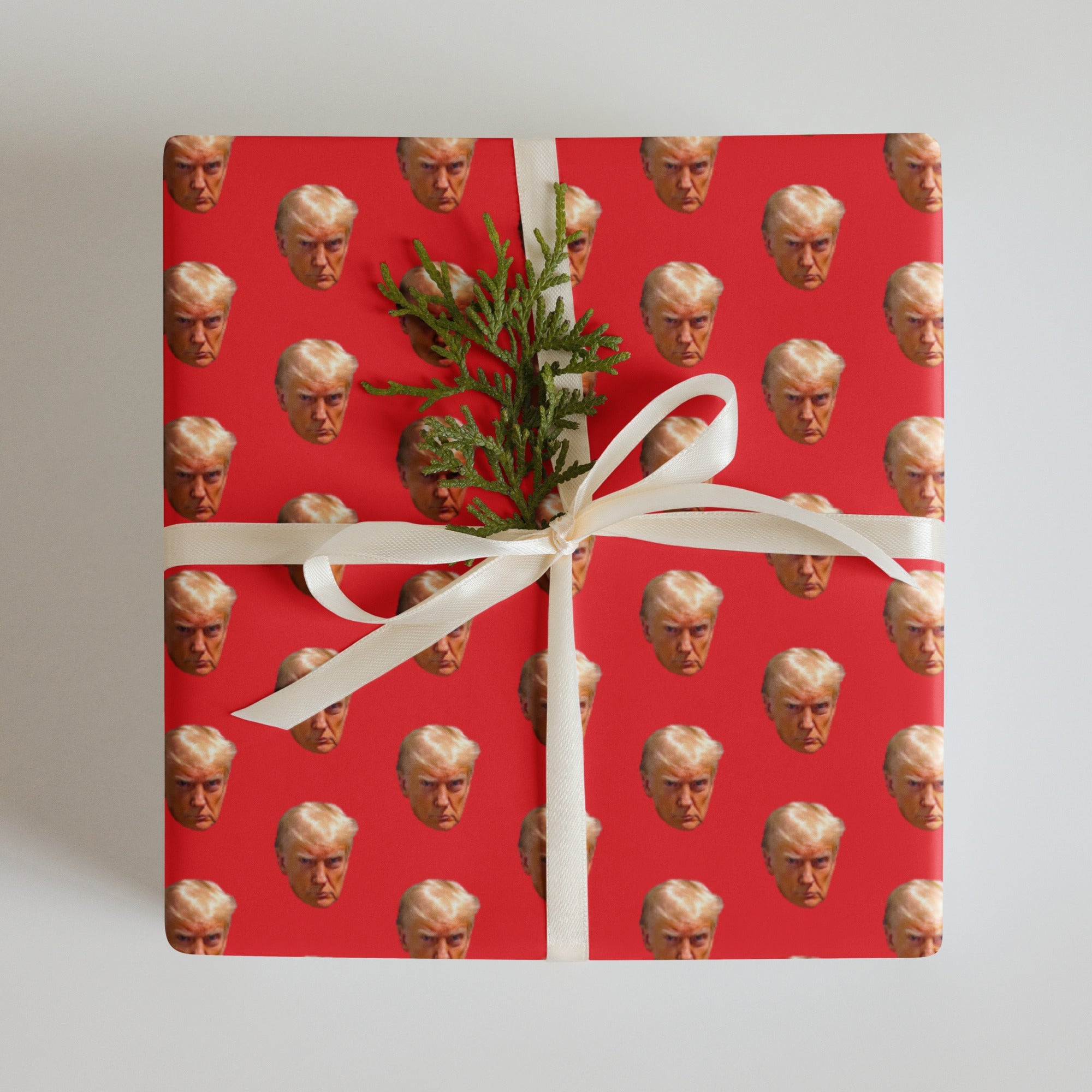 Trump Mugshot Wrapping Paper Sheets